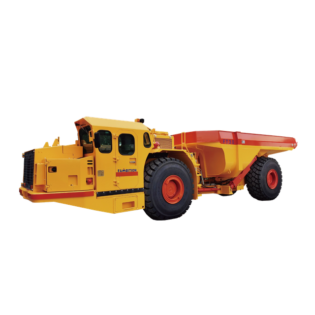 FT30